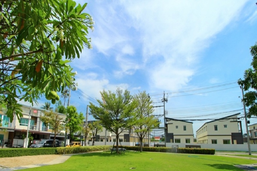 วิลเลต-ไลท์-ราชพฤกษ์-ปิ่นเกล้า